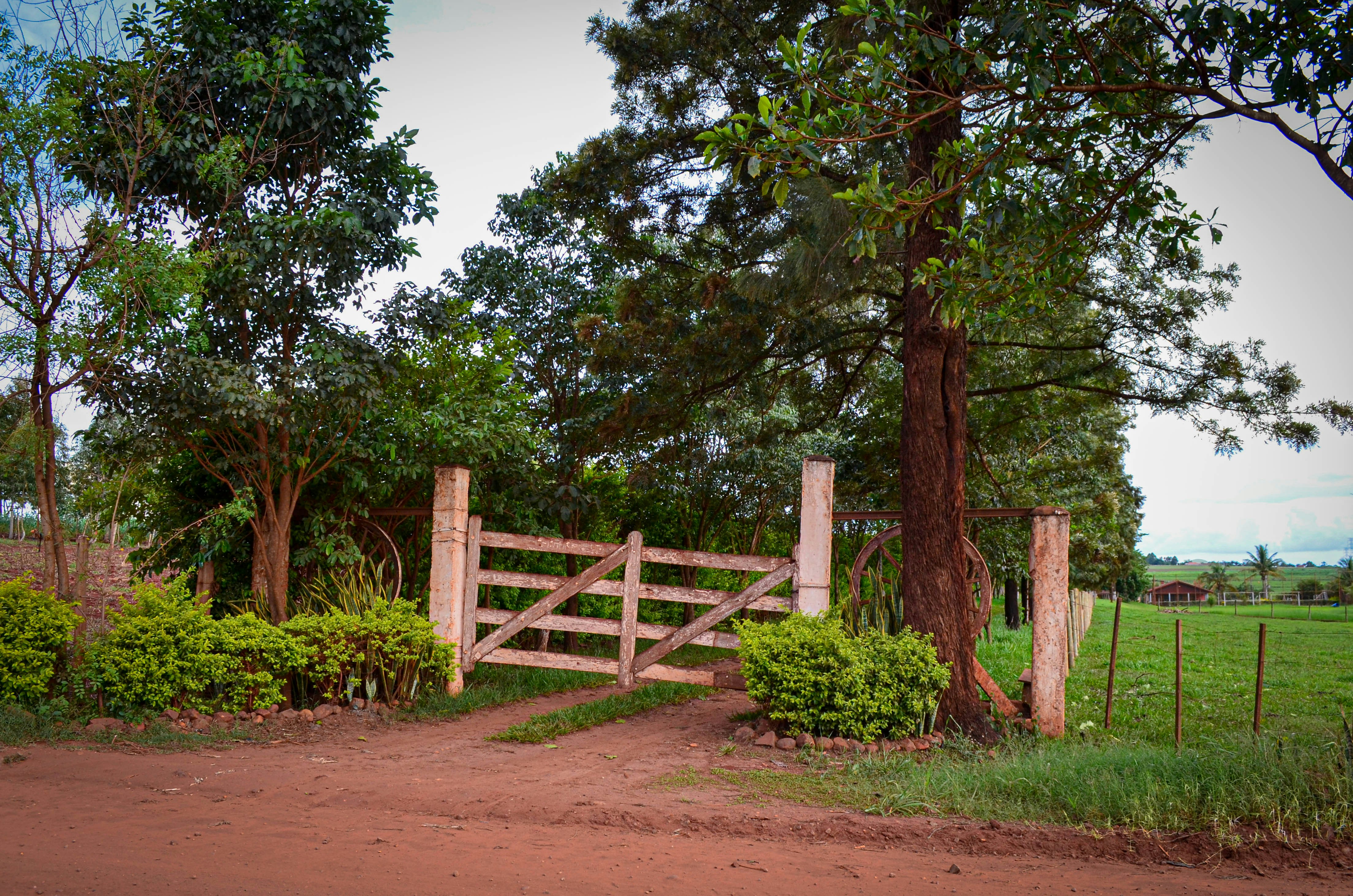 Fazenda São José