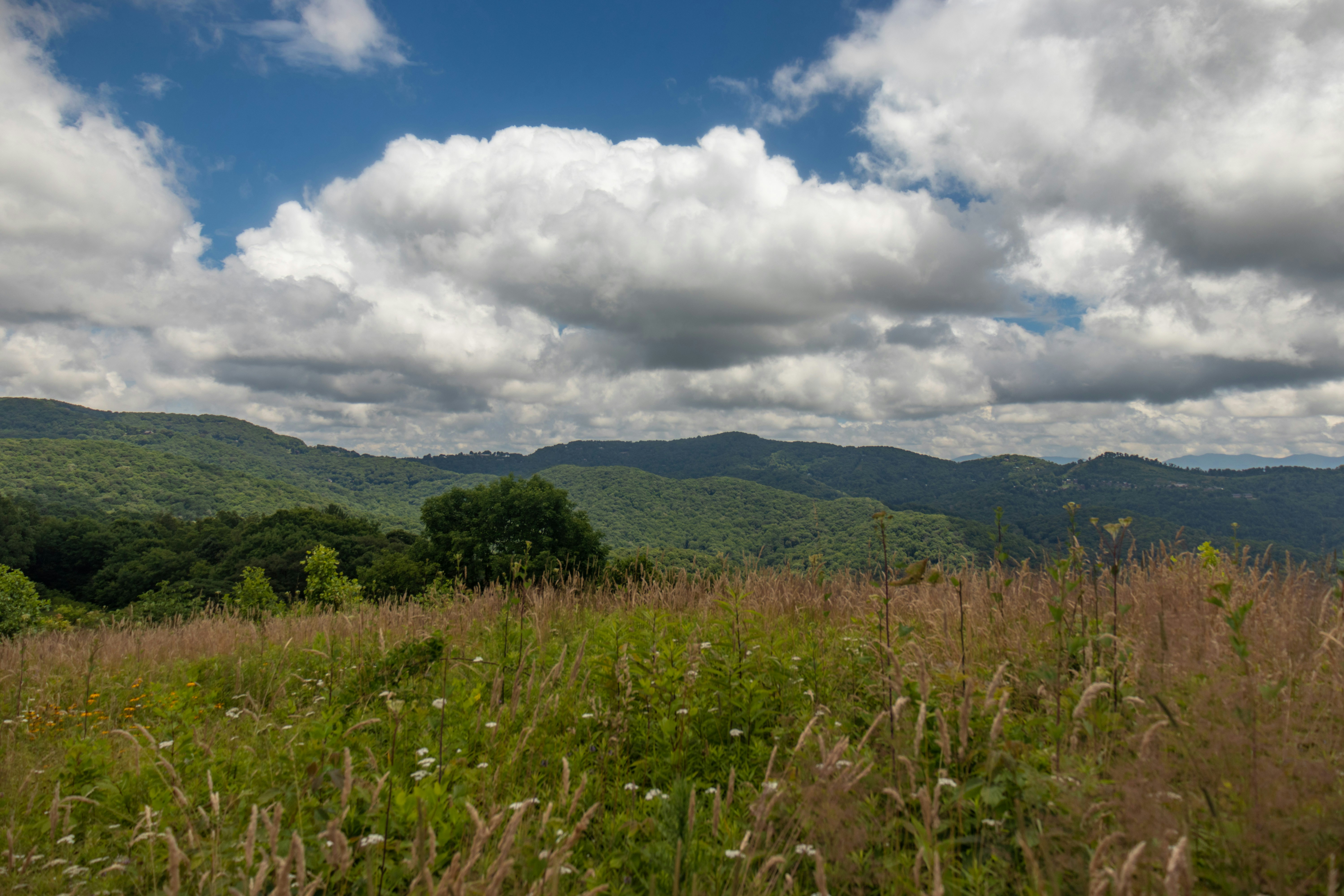 Sítio Lagoa 