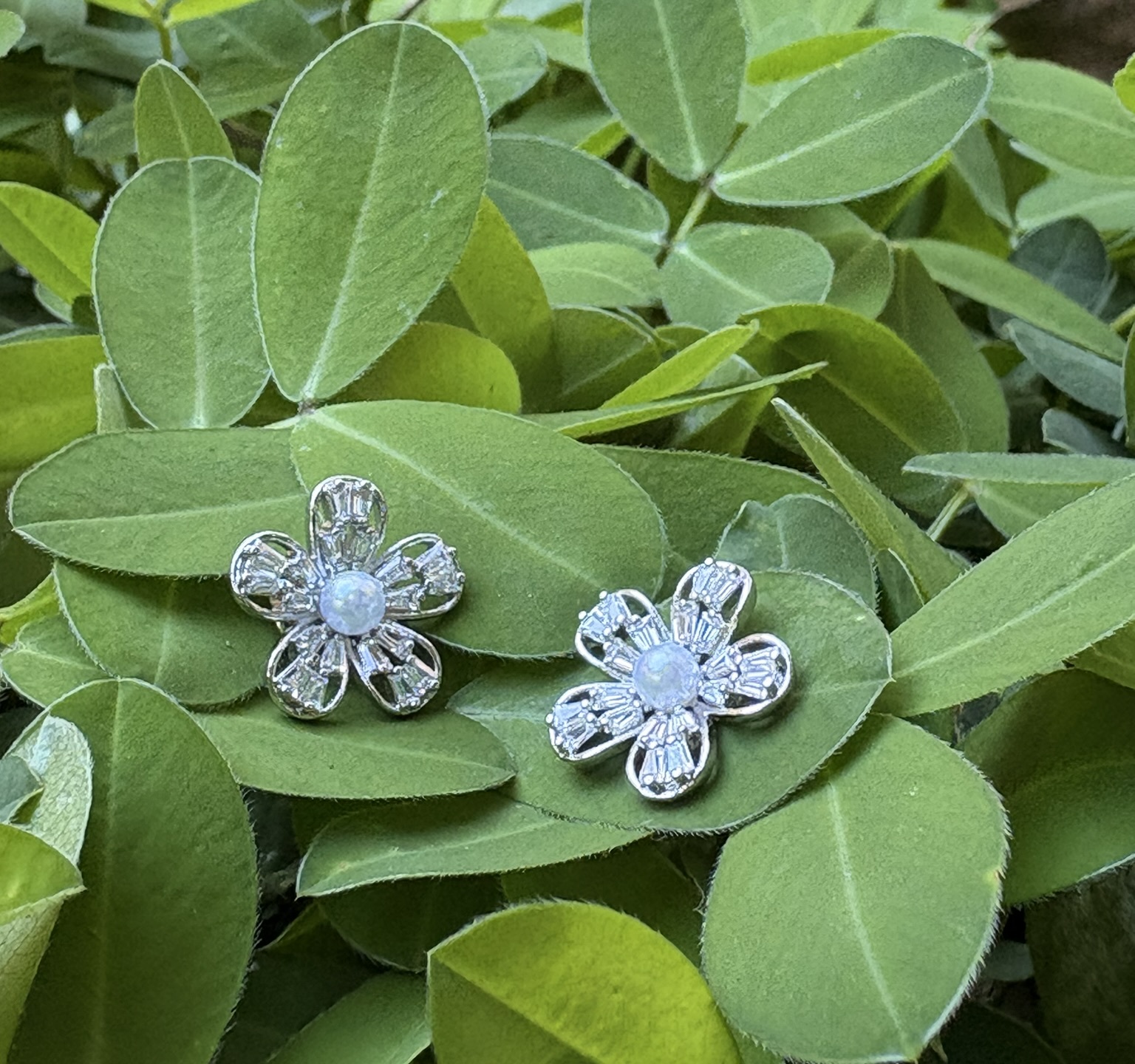 Brincos Flor de Laranjeira