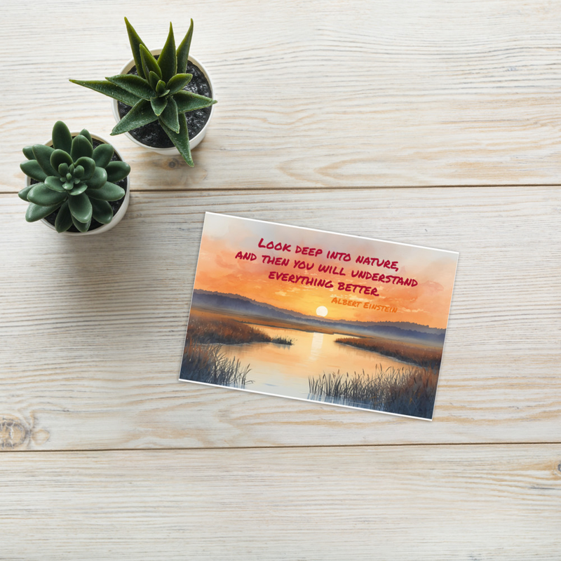 Look Deep into Nature