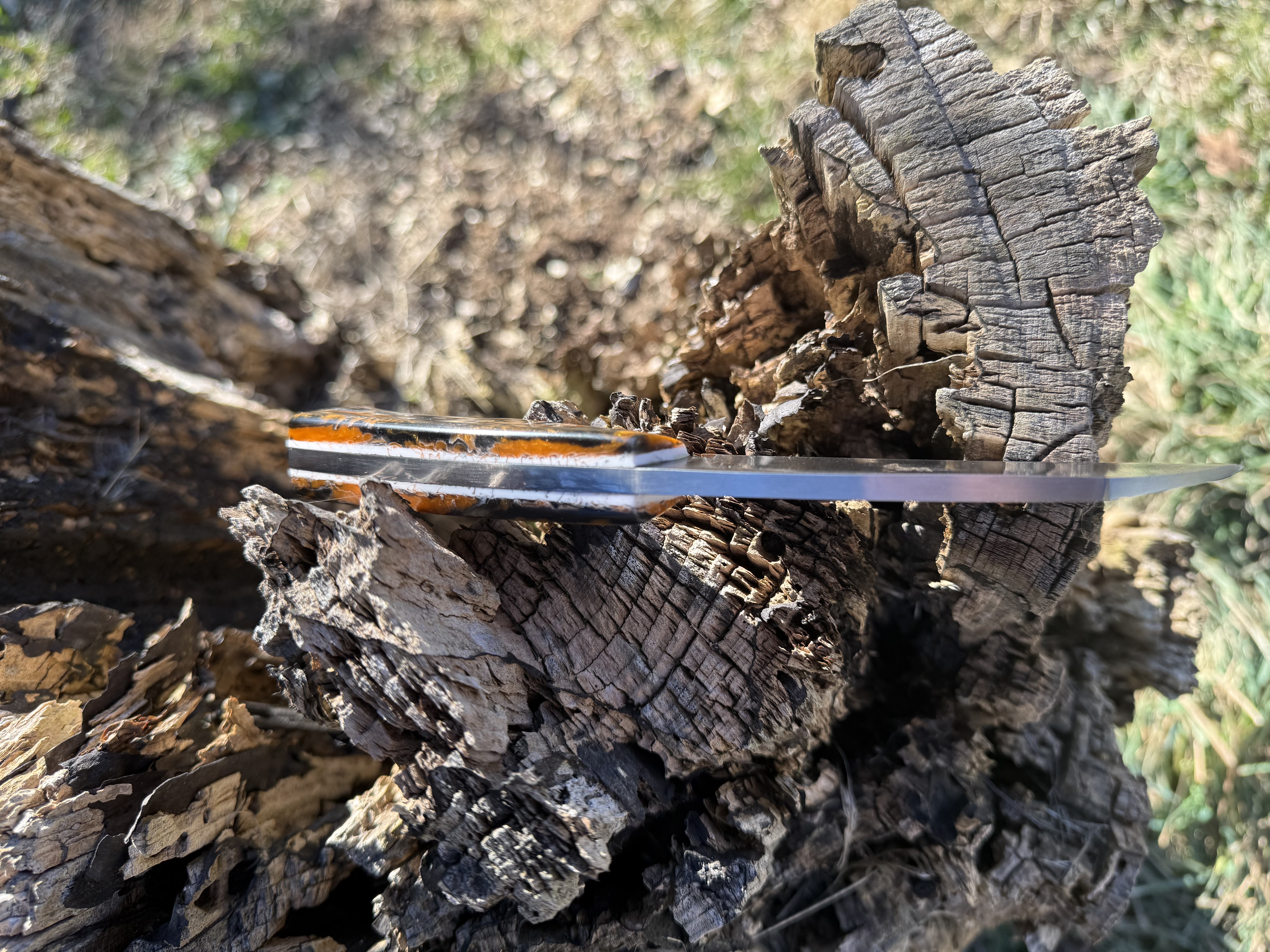 9" Misfit Hawkbill Blade