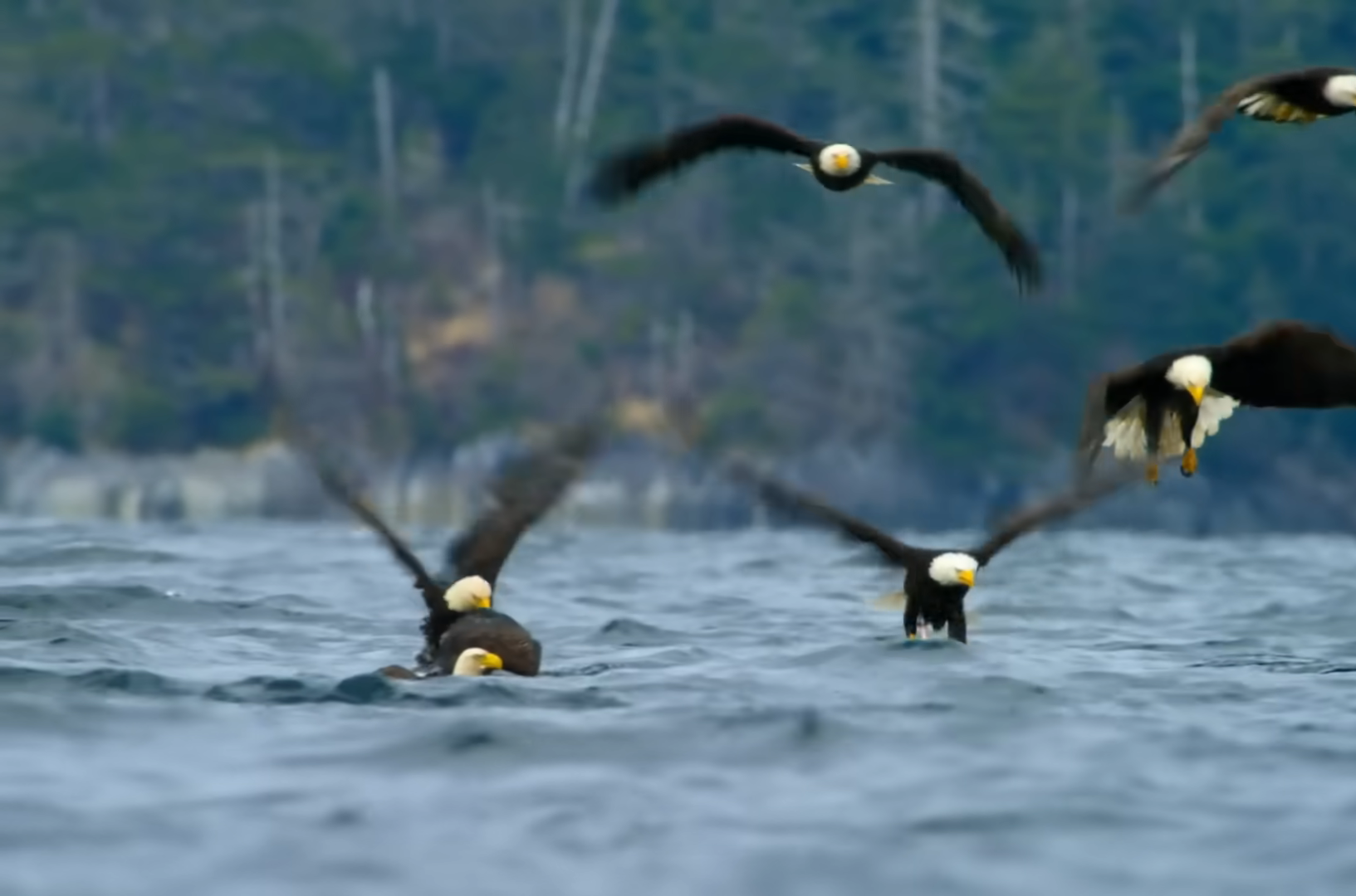 Consultation Session