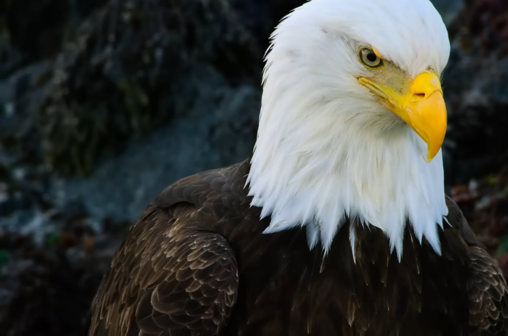 Personal Development