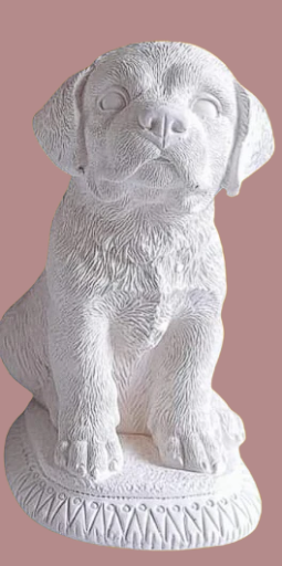 Perros medianos base