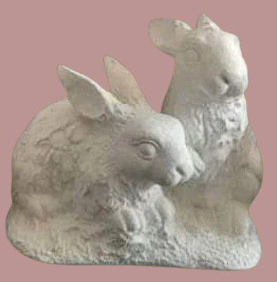 Conejos medianos
