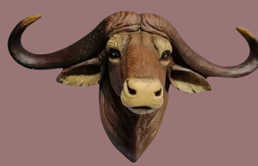 Cabeza de Toro Cebú