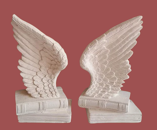 Par de Alas base libros