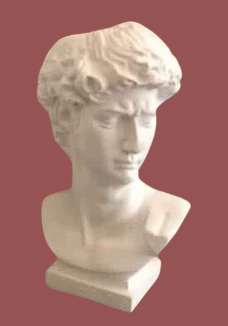 Busto David 
