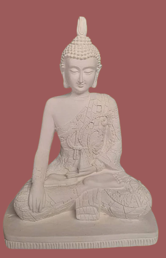 Hindus meditando medianos