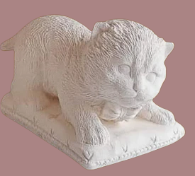 Gatos almohada medianos