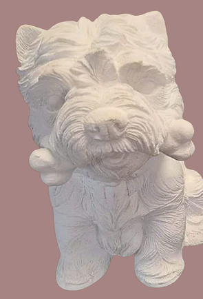 Perros medianos hueso