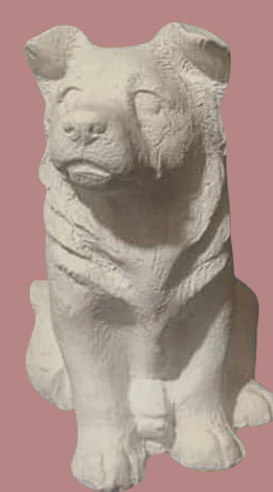 Perros pequeños