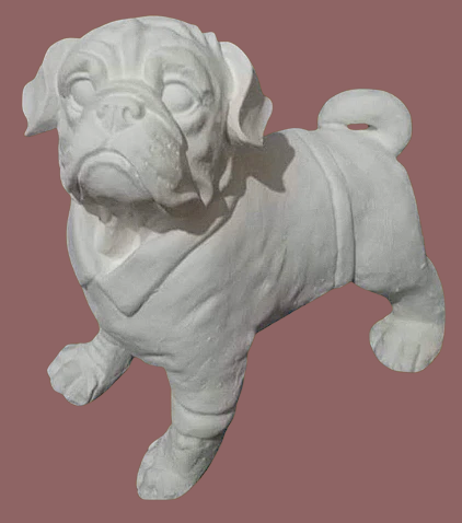 Perro camisa mediano