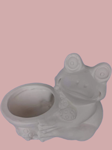 Rana porta maceta