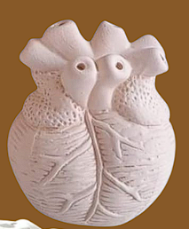 Corazon anatomico pequeño