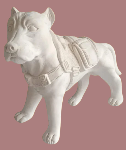 Perro chaleco grande