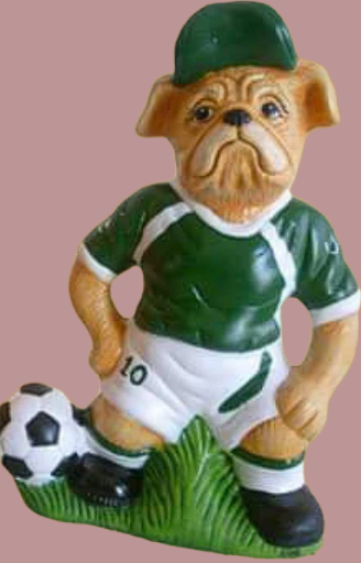 Perro futbolista grande