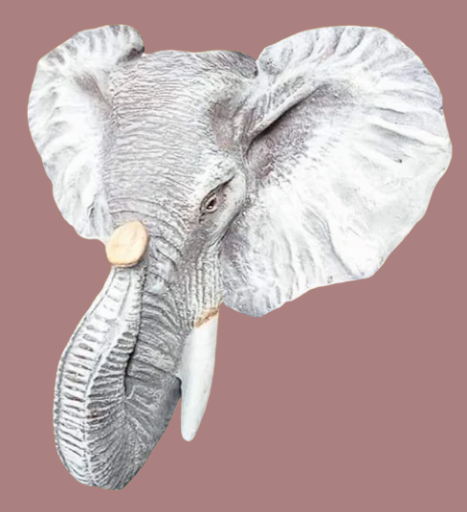 Cabeza de Elefante en Yeso