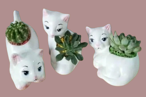 Macetas de gato cerámicas