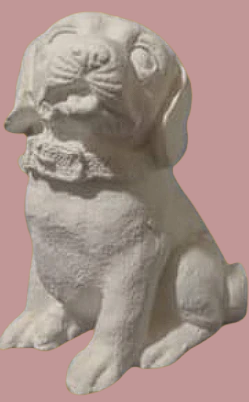 Perros pequeños