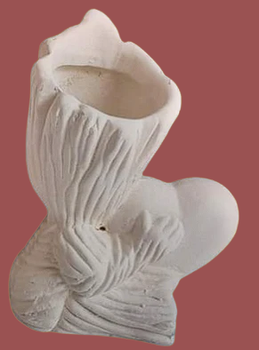 Groot corazon matera