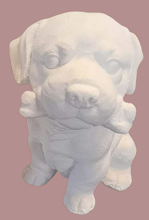 Perros medianos hueso