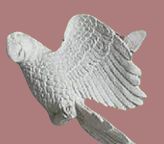 Loro aplique mediano