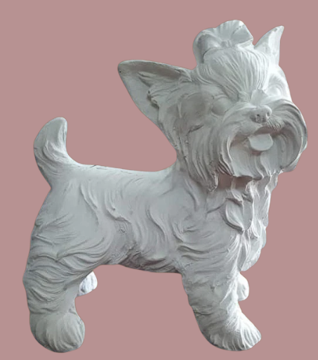 Perrita Yorky mediana
