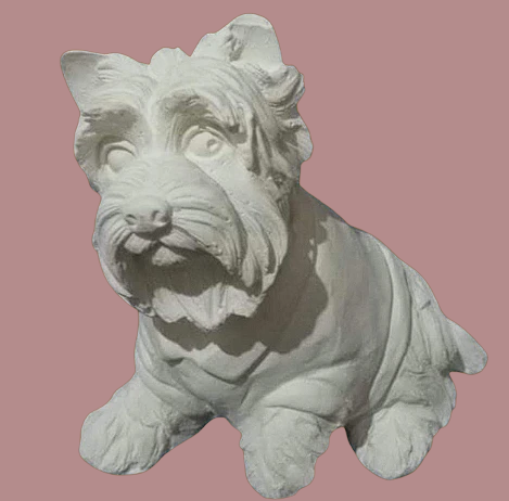Perro camisa mediano