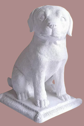 Perros medianos base