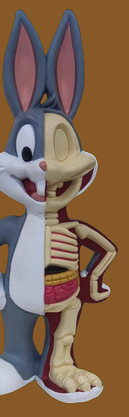 Buzz Bunny grande huesos