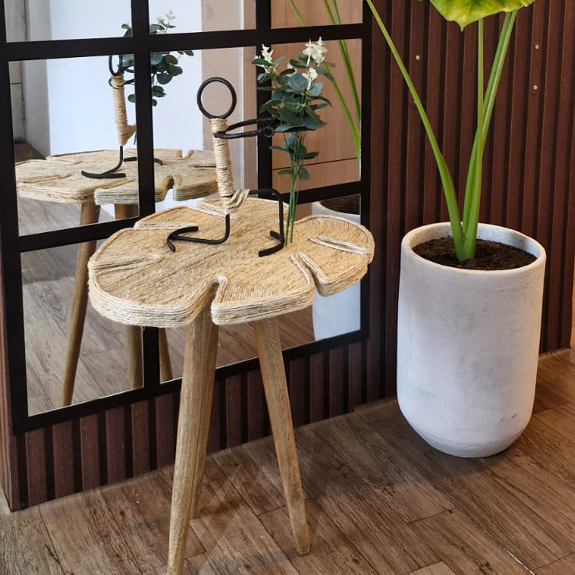 Mesa Acacia