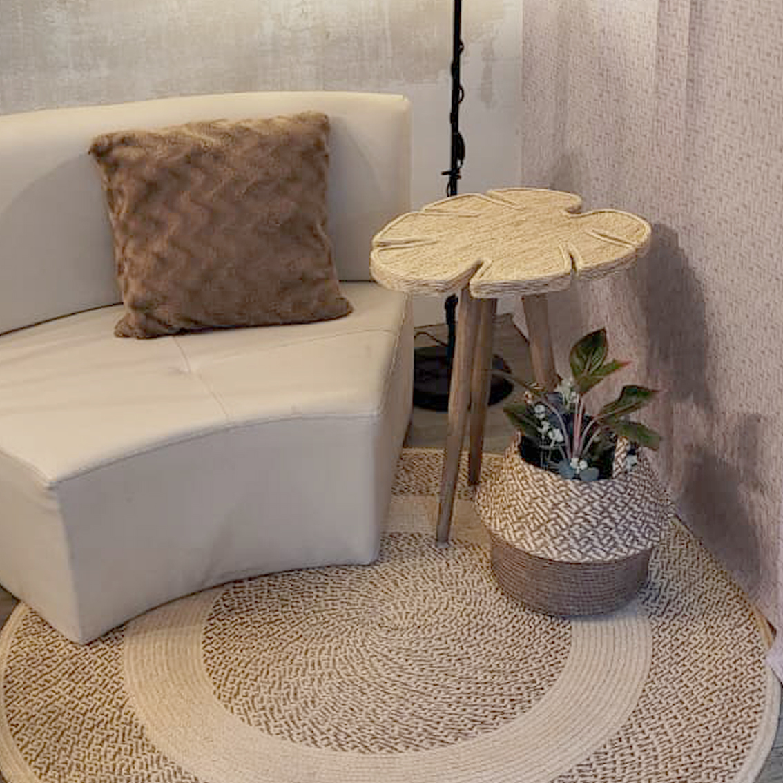 Mesa Acacia