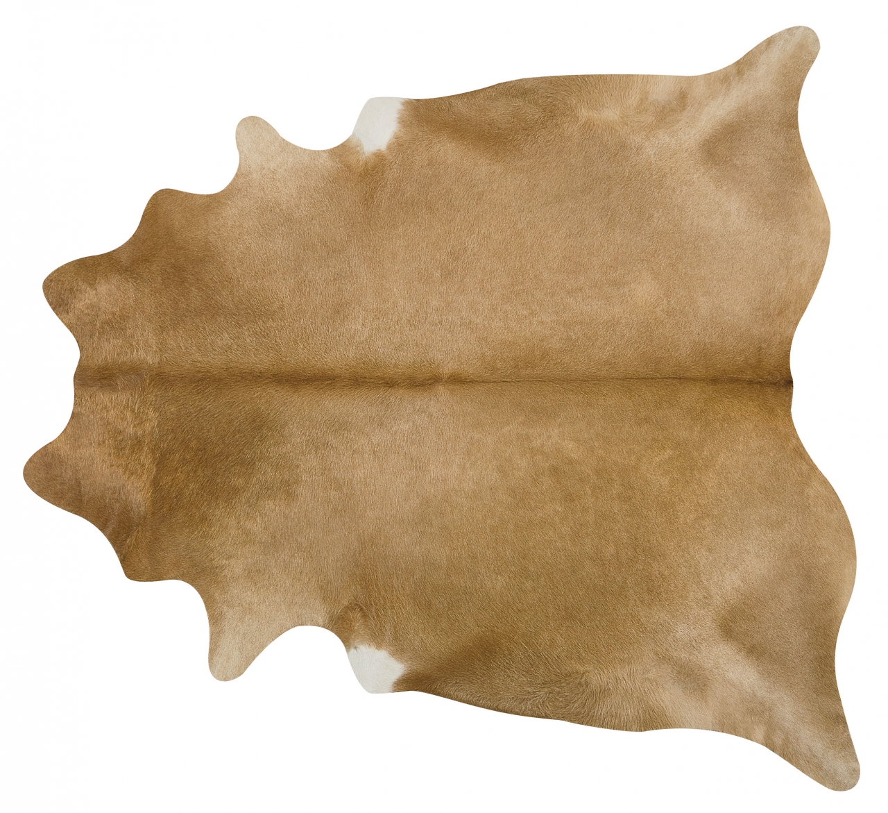 SOLID PALOMINO