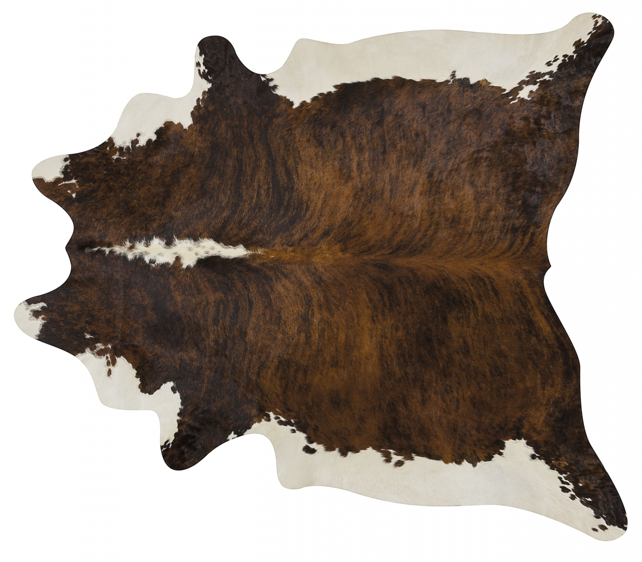 BRINDLE BACKBONE