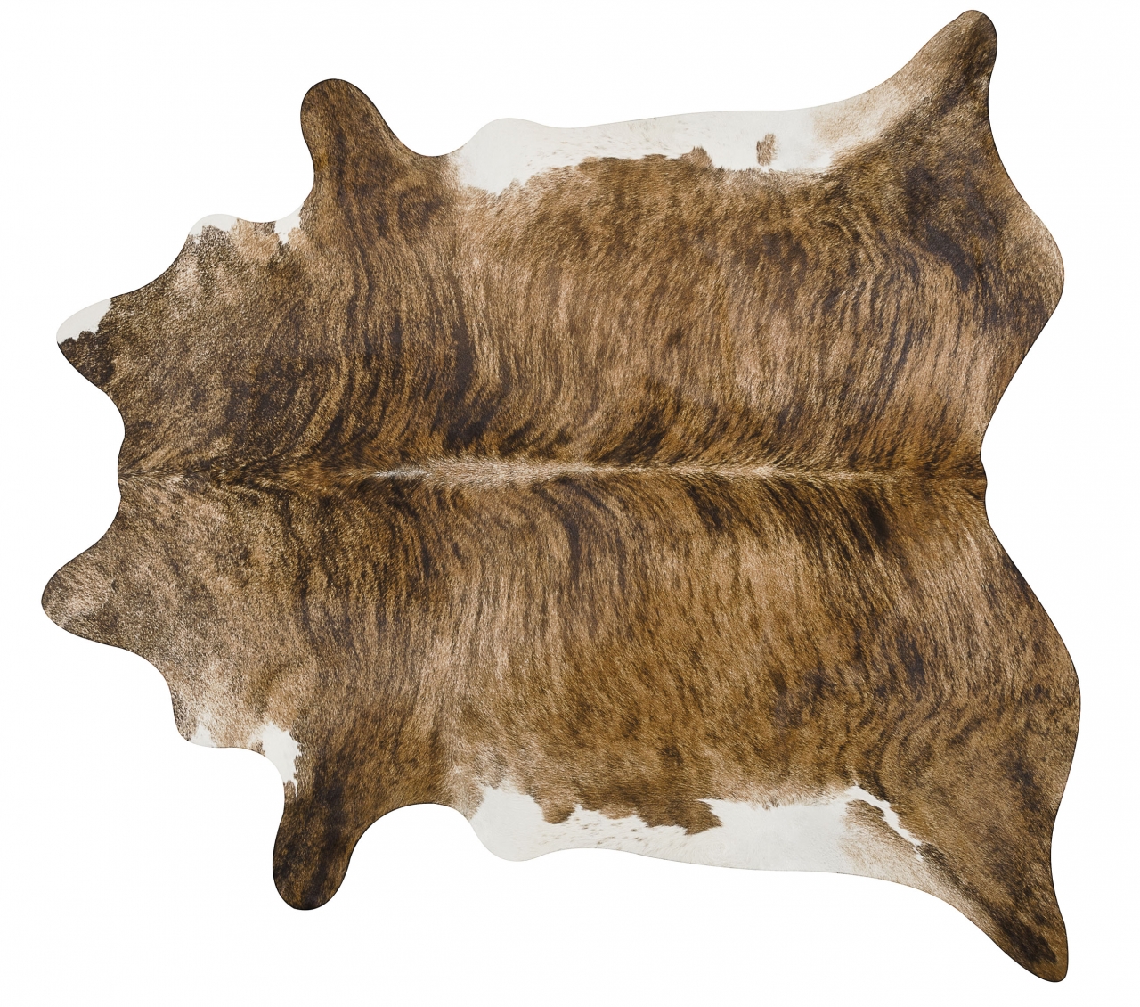 BRINDLE WHITE BELLY