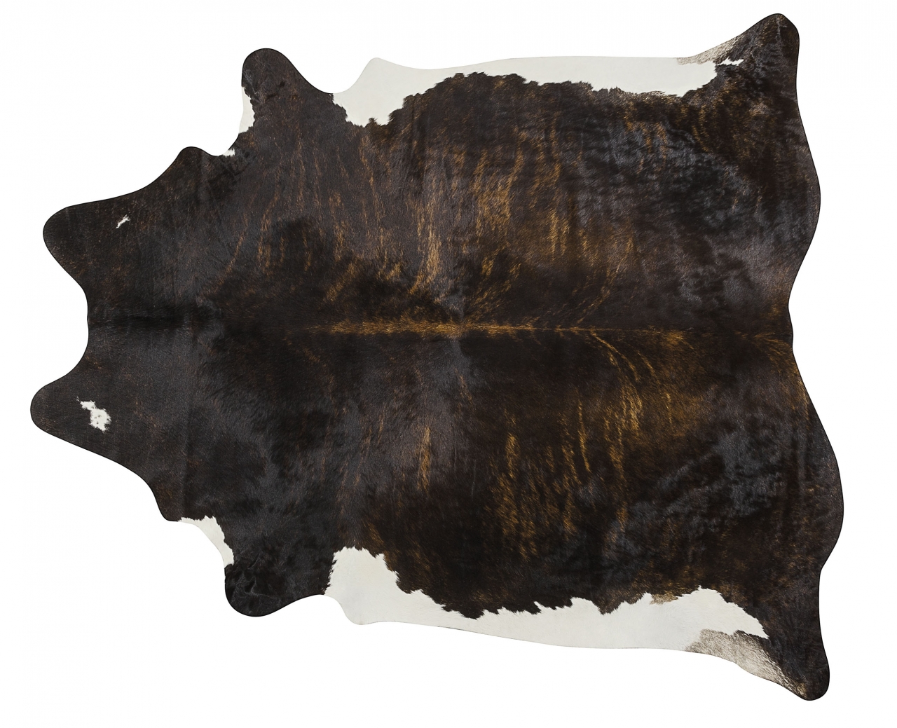 BRINDLE WHITE BELLY
