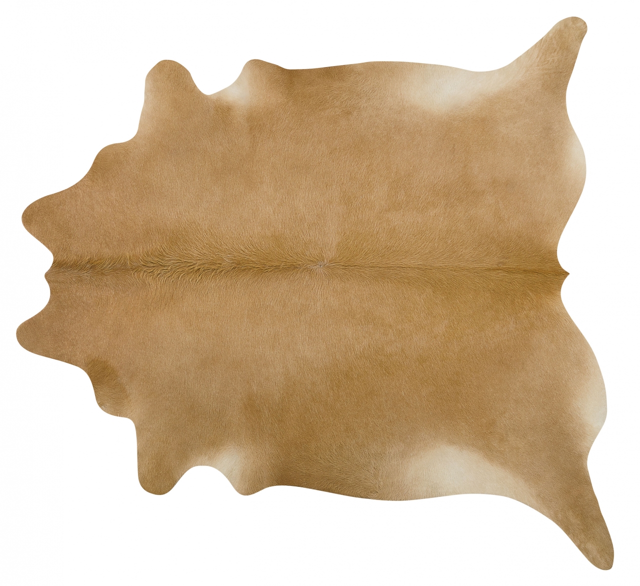 SOLID PALOMINO