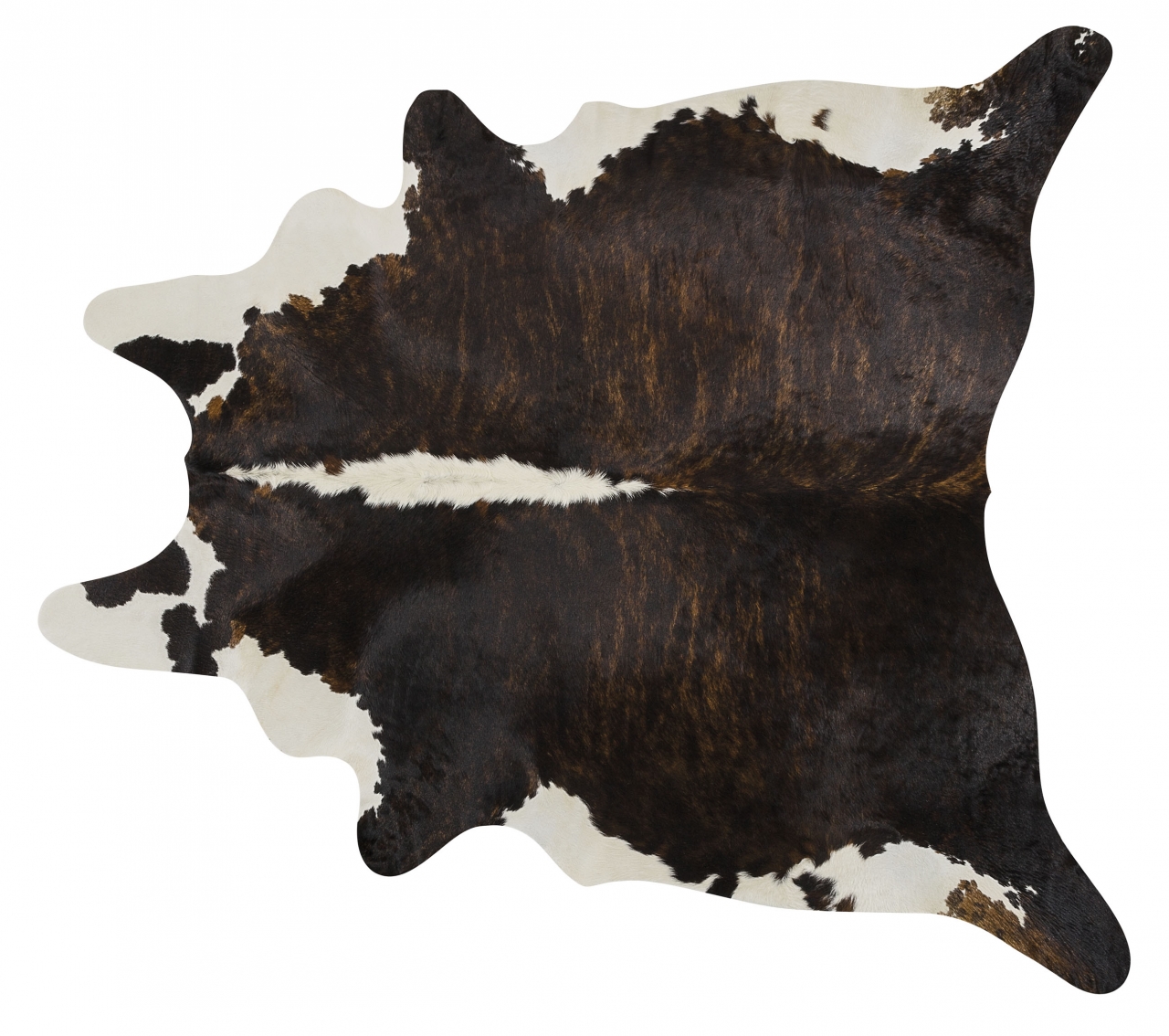 BRINDLE BACKBONE