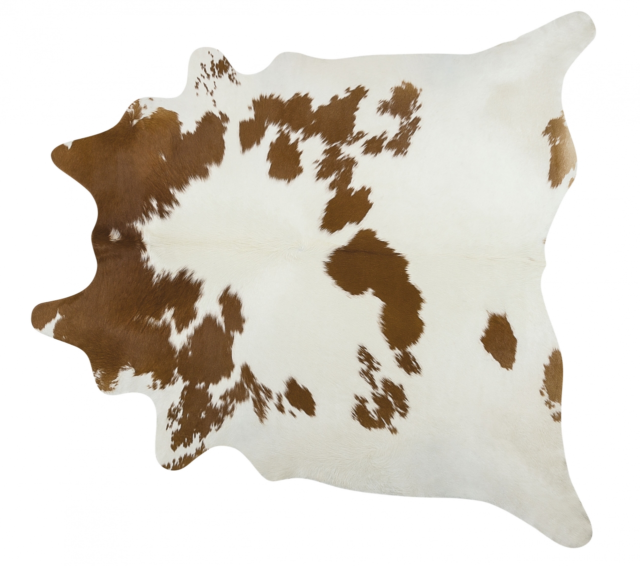 BROWN AND WHITE