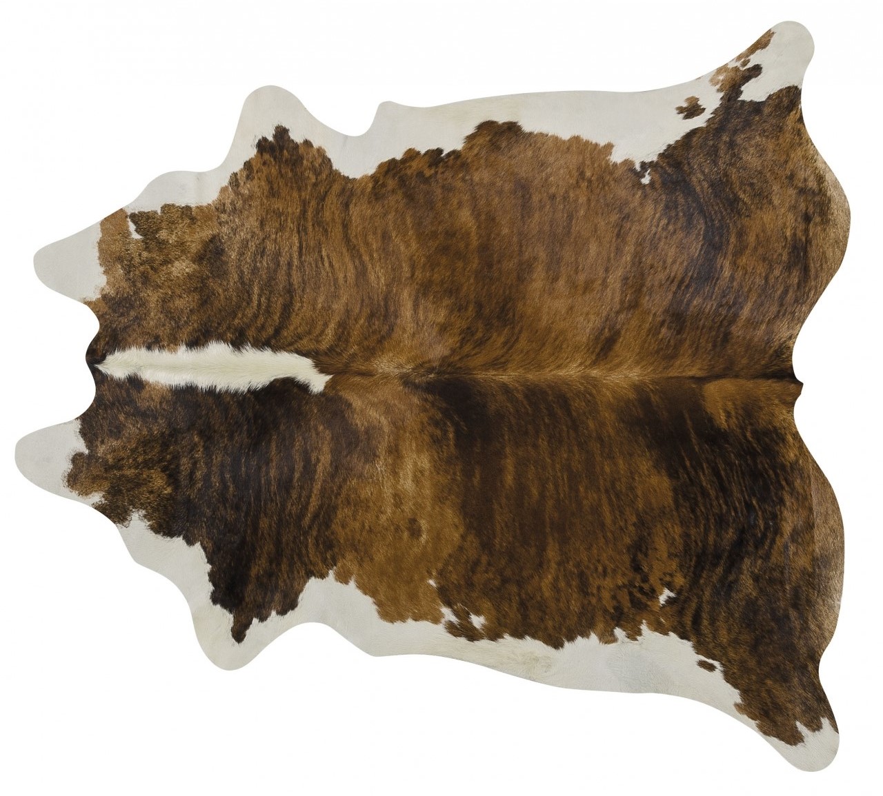 BRINDLE BACKBONE
