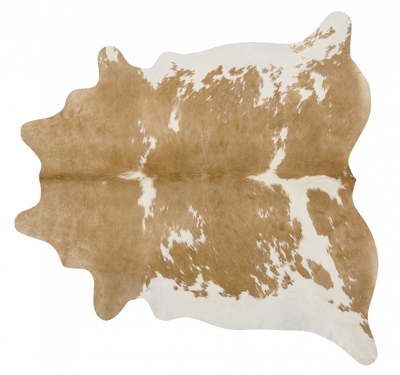 PALOMINO AND WHITE