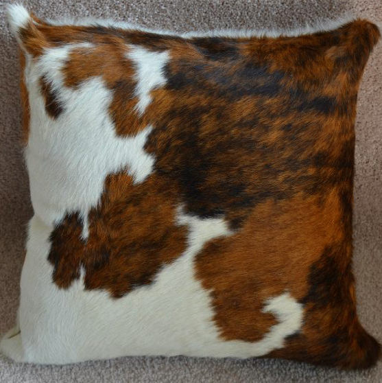 TRICOLOR PILLOW