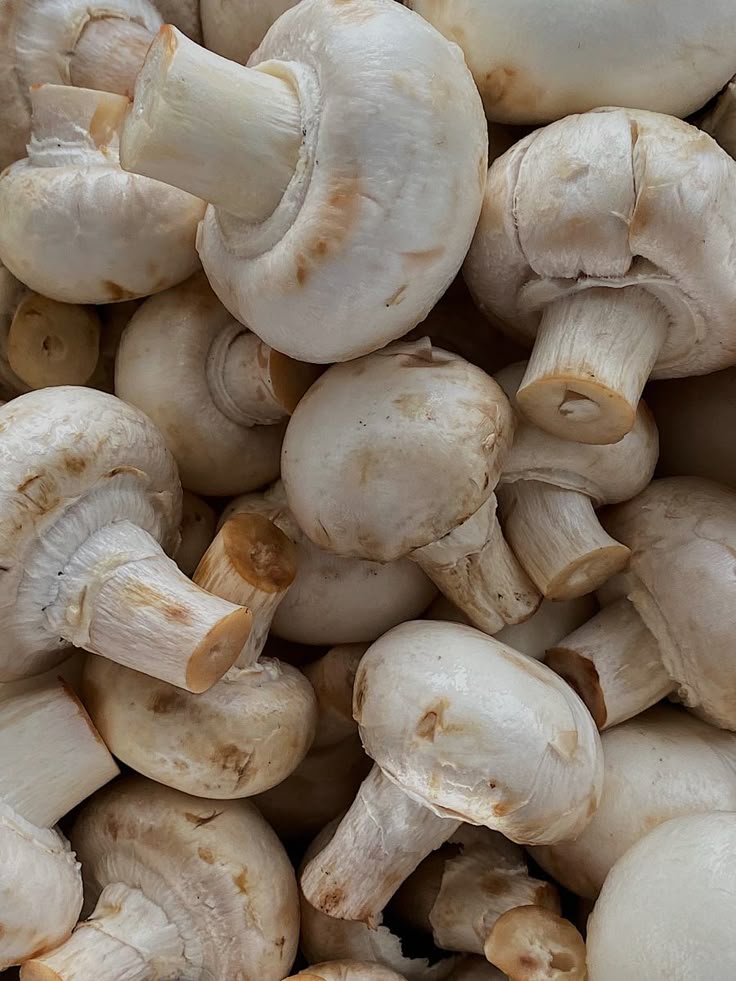 Champiñon premium x 500 gr