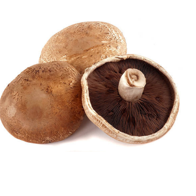Portobello parrillero x 500 gr