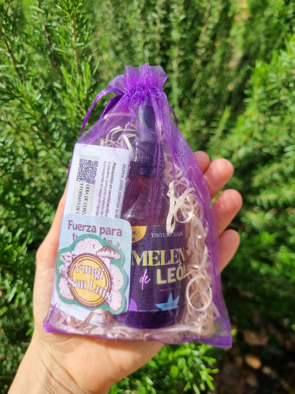 Melena de león x 60 ml
