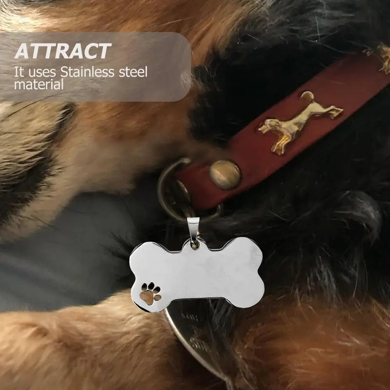 Placa de identificación para mascota