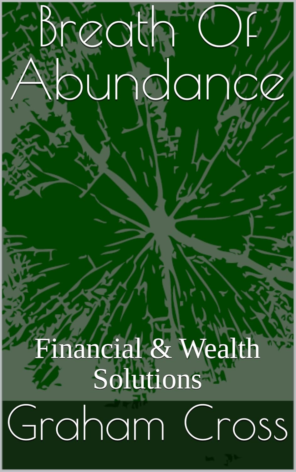 Breath Of Abundance - Wealth e-book