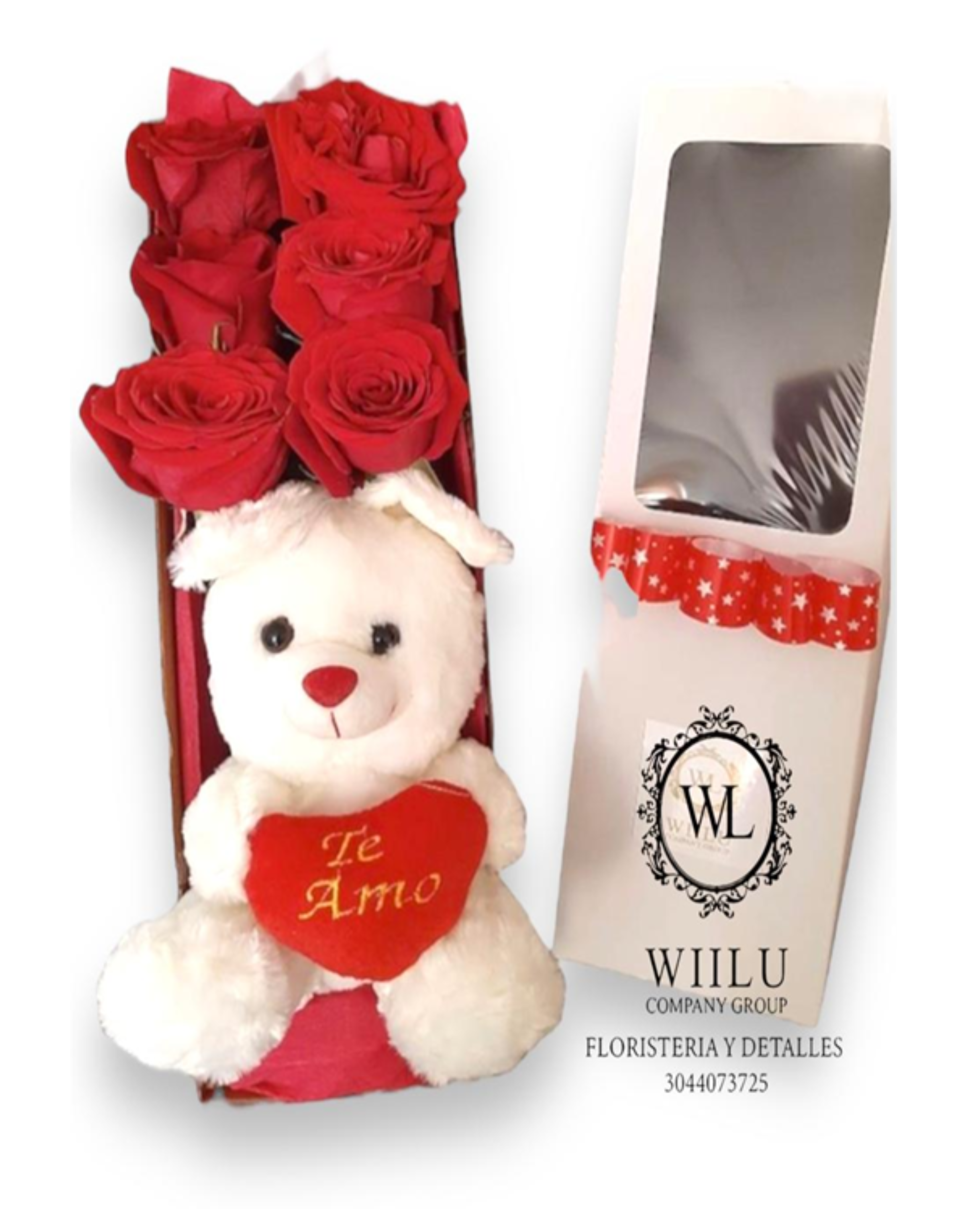 Caja de rosas + oso de peluche