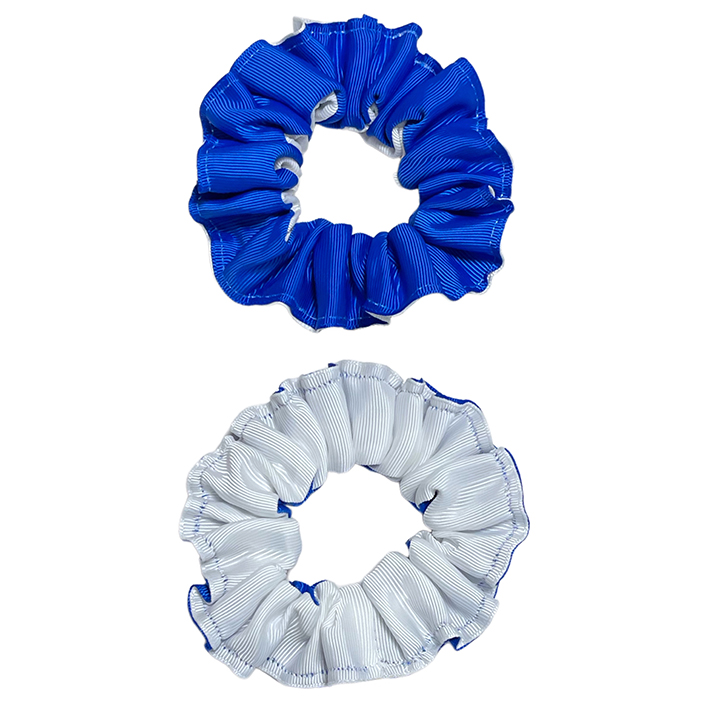 Color Pony 2 Pack - University of Florida